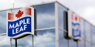 Oferta de empleo para 20 peones de industria cárnica en Canadá