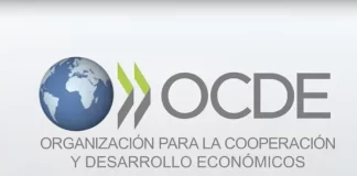 ¿Quieres hacer prácticas en la OCDE? hay 500 becas remuneradas