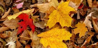 Septiembre, ¿un mes para la esperanza o para el desencanto?