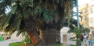 Ya puedes inscribirte en el Primer Foro de Empleo Som Talent de Paiporta (Valencia)