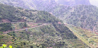 Agricultura convoca becas de formación práctica en desarrollo rurral y política forestal