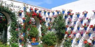 Comienza este lunes la Fiesta de los Patios de Córdoba con 55 recintos en concurso