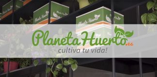 Una empresa ofrece empleo a programadores que trabajen en zonas rurales