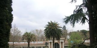 El Real Jardín Botánico de Madrid organiza un ciclo de conferencias y un postgrado sobre biodiversidad vegetal