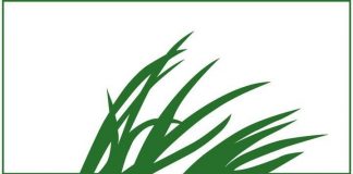 Convocada la segunda edición de los Premios Red Emprendeverde para emprendedores medio ambientales