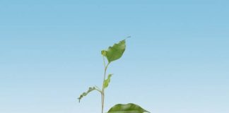 El sector de residuos representa el 27% de las ofertas de empleo verde en España Residuos