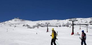 ¿Quieres trabajar en Sierra Nevada? 464 ofertas de empleo para la temporada Sierra Nevada Empleo