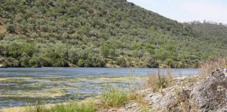 Las administraciones se unen para generar empleo en la Reserva de la Biosfera del Tajo Internacional