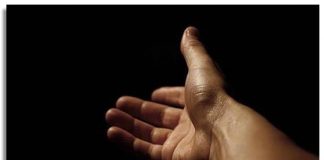 Los negocios dirigidos supuestamente a ayudar a desempleados