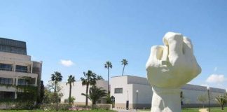 La Universidad de Alicante convoca varias plazas temporales de empleo para profesores asociados