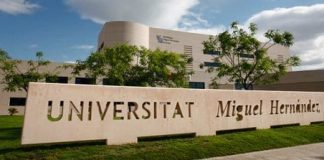 Abierto el plazo de inscripción al Maratón de Empresas de la Universidad Miguel Hernández