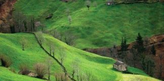 La Mancomunidad de los Valles Pasiegos contratará a 15 desempleados para un proyecto agroforestal