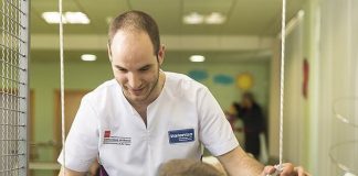 Sacyr asumira el servicio de ayuda a domicilio en varios distritos de Madrid con 2.500 trabajadores